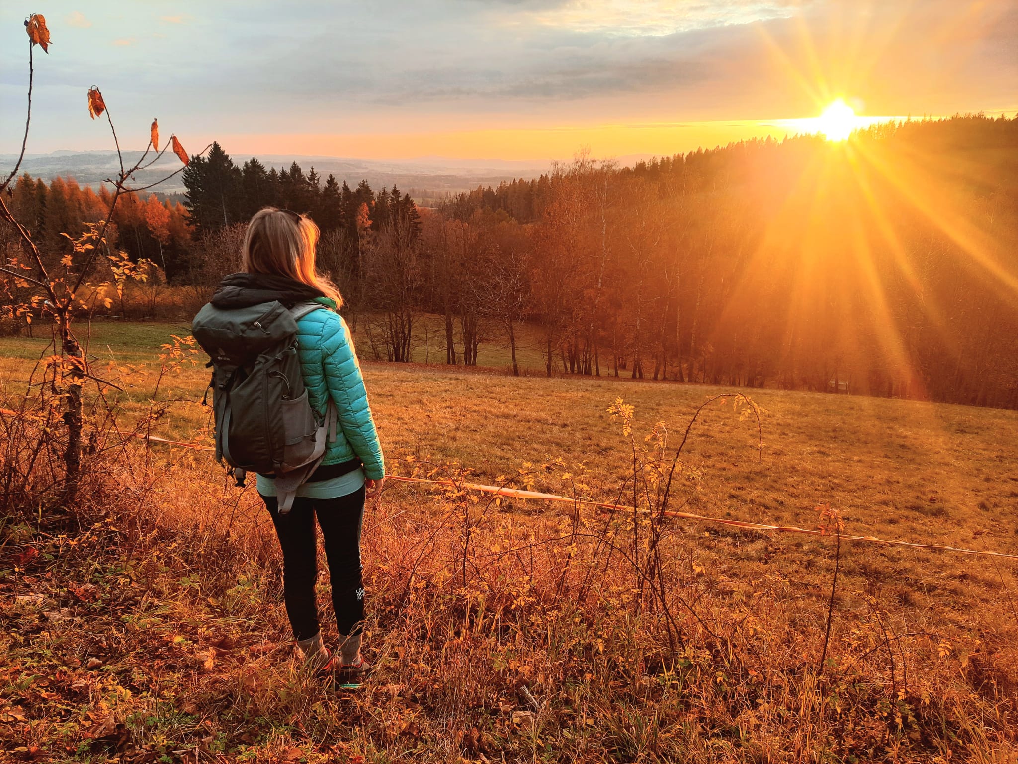 WhatsApp Image 2025-11-14 at 13.12.19