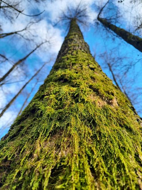 klidem-ekopsychologie-3