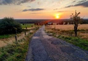 klidem-ekopsychologie-2-tn